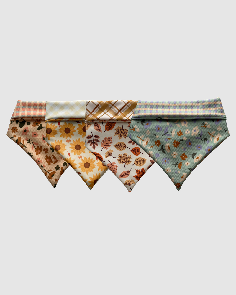 Fall Foilage Collection