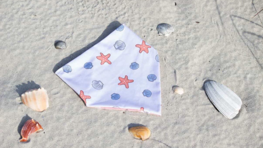 Salty Summer Collection