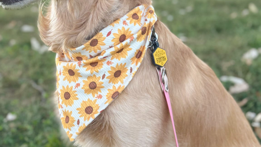 All Fall Bandanas