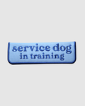 Service Dog In Training Blue Leash Wrap