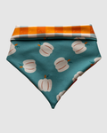 Pumpkin Picnic Bandana